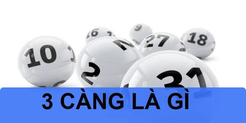 đề 3 càng là gì